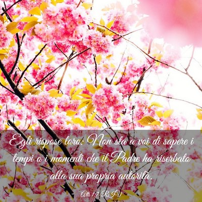 Picture 03 - Atti 1:7 RIV - Egli rispose loro: Non sta a voi di sapere i - Bible Verse Picture