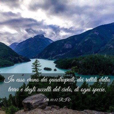 Picture 03 - Atti 10:12 RIV - In esso erano dei quadrupedi, dei rettili della - Bible Verse Picture