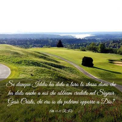 Picture 03 - Atti 11:17 RIV - Se dunque Iddio ha dato a loro lo stesso dono che - Bible Verse Picture