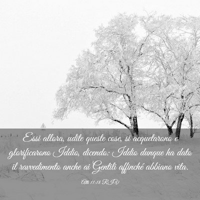 Picture 03 - Atti 11:18 RIV - Essi allora, udite queste cose, si acquetarono e - Bible Verse Picture
