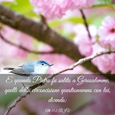 Picture 03 - Atti 11:2 RIV - E quando Pietro fu salito a Gerusalemme, quelli - Bible Verse Picture