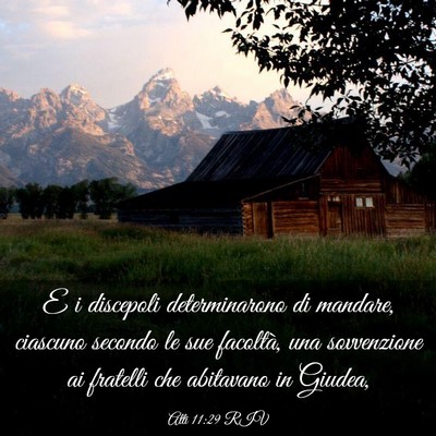 Picture 03 - Atti 11:29 RIV - E i discepoli determinarono di mandare, ciascuno - Bible Verse Picture