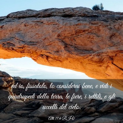 Picture 03 - Atti 11:6 RIV - ed io, fissatolo, lo considerai bene, e vidi i - Bible Verse Picture