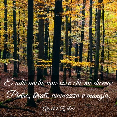 Picture 03 - Atti 11:7 RIV - E udii anche una voce che mi diceva: Pietro, - Bible Verse Picture