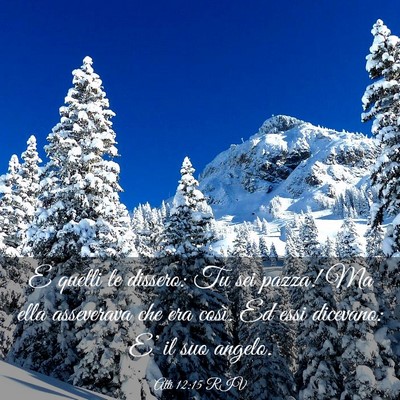 Picture 03 - Atti 12:15 RIV - E quelli le dissero: Tu sei pazza! Ma ella - Bible Verse Picture