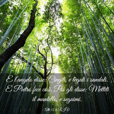 Picture 03 - Atti 12:8 RIV - E l’angelo disse: Cingiti, e lègati i sandali. - Bible Verse Picture