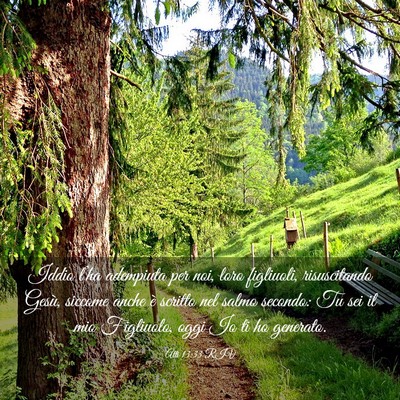 Picture 03 - Atti 13:33 RIV - Iddio l’ha adempiuta per noi, loro figliuoli, - Bible Verse Picture