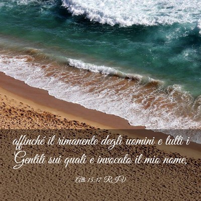 Picture 03 - Atti 15:17 RIV - affinché il rimanente degli uomini e tutti i - Bible Verse Picture