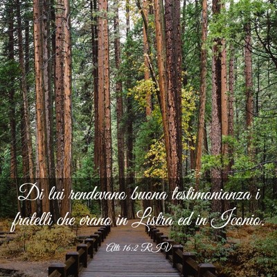 Picture 03 - Atti 16:2 RIV - Di lui rendevano buona testimonianza i fratelli - Bible Verse Picture