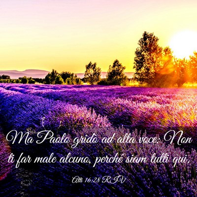 Picture 03 - Atti 16:28 RIV - Ma Paolo gridò ad alta voce: Non ti far male - Bible Verse Picture