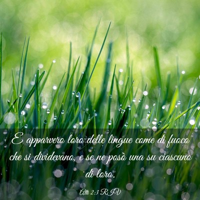 Picture 03 - Atti 2:3 RIV - E apparvero loro delle lingue come di fuoco che - Bible Verse Picture