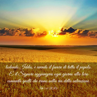 Picture 03 - Atti 2:47 RIV - lodando Iddio, e avendo il favore di tutto il - Bible Verse Picture