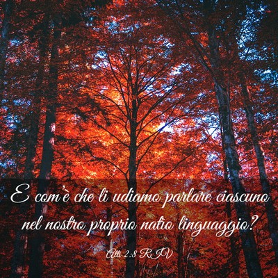 Picture 03 - Atti 2:8 RIV - E com’è che li udiamo parlare ciascuno nel - Bible Verse Picture