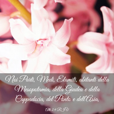Picture 03 - Atti 2:9 RIV - Noi Parti, Medi, Elamiti, abitanti della - Bible Verse Picture