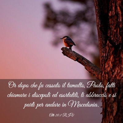 Picture 03 - Atti 20:1 RIV - Or dopo che fu cessato il tumulto, Paolo, fatti - Bible Verse Picture
