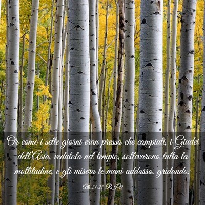 Picture 03 - Atti 21:27 RIV - Or come i sette giorni eran presso che compiuti, - Bible Verse Picture