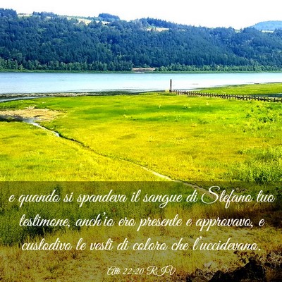 Picture 03 - Atti 22:20 RIV - e quando si spandeva il sangue di Stefano tuo - Bible Verse Picture