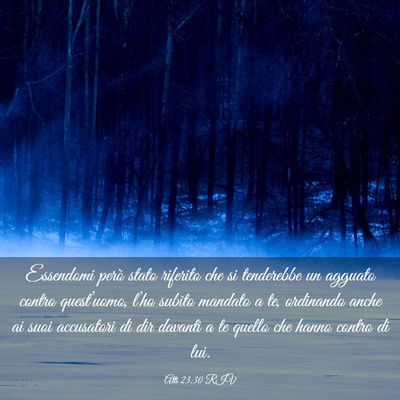 Picture 03 - Atti 23:30 RIV - Essendomi però stato riferito che si tenderebbe - Bible Verse Picture