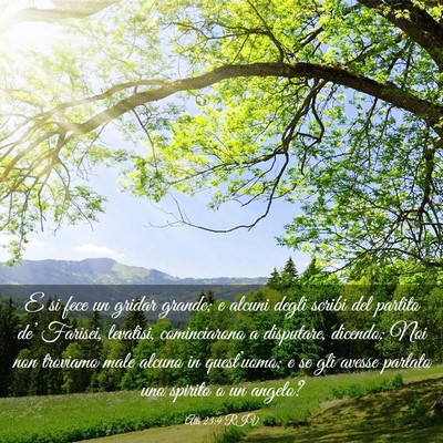 Picture 03 - Atti 23:9 RIV - E si fece un gridar grande; e alcuni degli scribi - Bible Verse Picture