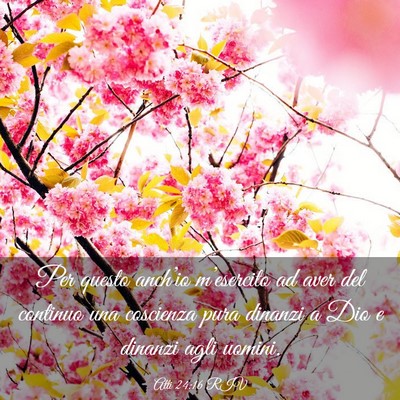 Picture 03 - Atti 24:16 RIV - Per questo anch’io m’esercito ad aver del - Bible Verse Picture