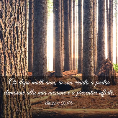 Picture 03 - Atti 24:17 RIV - Or dopo molti anni, io son venuto a portar - Bible Verse Picture
