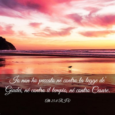 Picture 03 - Atti 25:8 RIV - Io non ho peccato né contro la legge de’ - Bible Verse Picture