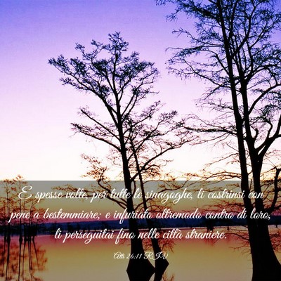 Picture 03 - Atti 26:11 RIV - E spesse volte, per tutte le sinagoghe, li - Bible Verse Picture