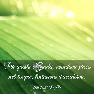 Picture 03 - Atti 26:21 RIV - Per questo i Giudei, avendomi preso nel tempio, - Bible Verse Picture