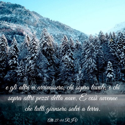 Picture 03 - Atti 27:44 RIV - e gli altri vi arrivassero, chi sopra tavole, e - Bible Verse Picture