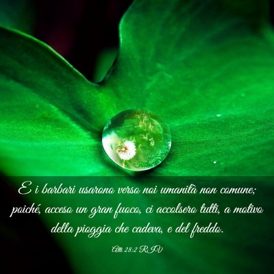 Picture 03 - Atti 28:2 RIV - E i barbari usarono verso noi umanità non - Bible Verse Picture