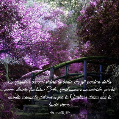 Picture 03 - Atti 28:4 RIV - E quando i barbari videro la bestia che gli - Bible Verse Picture