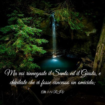 Picture 03 - Atti 3:14 RIV - Ma voi rinnegaste il Santo ed il Giusto, e - Bible Verse Picture