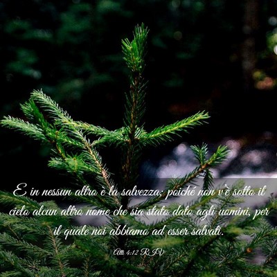 Picture 03 - Atti 4:12 RIV - E in nessun altro è la salvezza; poiché non - Bible Verse Picture