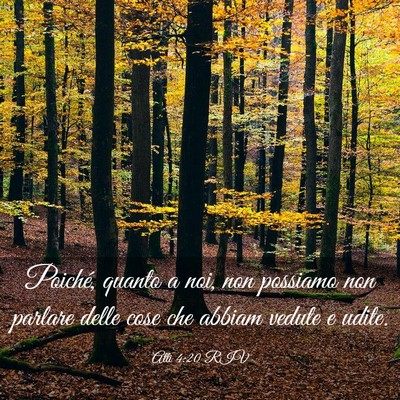 Picture 03 - Atti 4:20 RIV - Poiché, quanto a noi, non possiamo non parlare - Bible Verse Picture