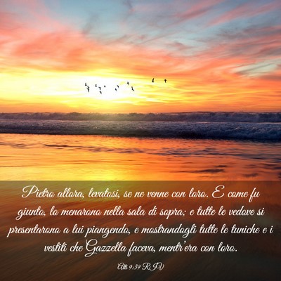 Picture 03 - Atti 9:39 RIV - Pietro allora, levatosi, se ne venne con loro. E - Bible Verse Picture