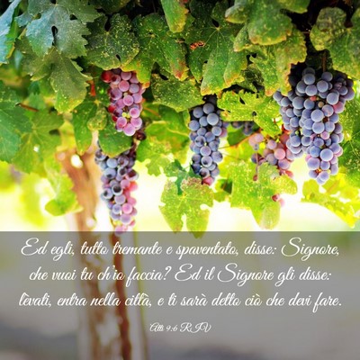 Picture 03 - Atti 9:6 RIV - Ed egli, tutto tremante e spaventato, disse: - Bible Verse Picture