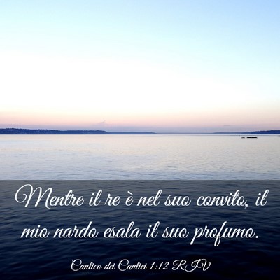 Picture 03 - Cantico dei Cantici 1:12 RIV - Mentre il re è nel suo convito, il mio nardo - Bible Verse Picture