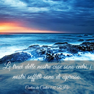 Picture 03 - Cantico dei Cantici 1:17 RIV - Le travi delle nostre case sono cedri, i nostri - Bible Verse Picture