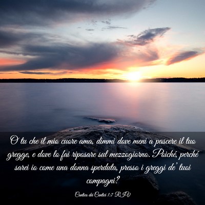 Picture 03 - Cantico dei Cantici 1:7 RIV - O tu che il mio cuore ama, dimmi dove meni a - Bible Verse Picture