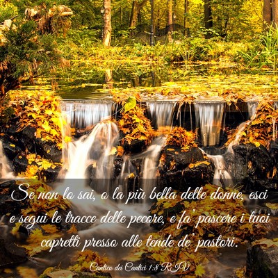 Picture 03 - Cantico dei Cantici 1:8 RIV - Se non lo sai, o la più bella delle donne, esci - Bible Verse Picture