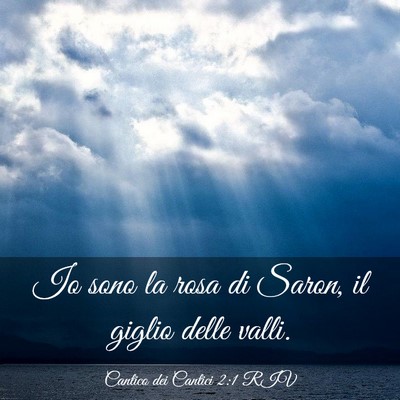 Picture 03 - Cantico dei Cantici 2:1 RIV - Io sono la rosa di Saron, il giglio delle - Bible Verse Picture