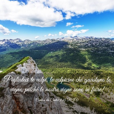 Picture 03 - Cantico dei Cantici 2:15 RIV - Pigliateci le volpi, le volpicine che guastano le - Bible Verse Picture