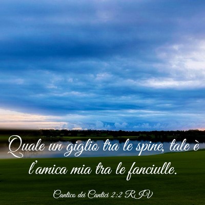 Picture 03 - Cantico dei Cantici 2:2 RIV - Quale un giglio tra le spine, tale è l’amica - Bible Verse Picture
