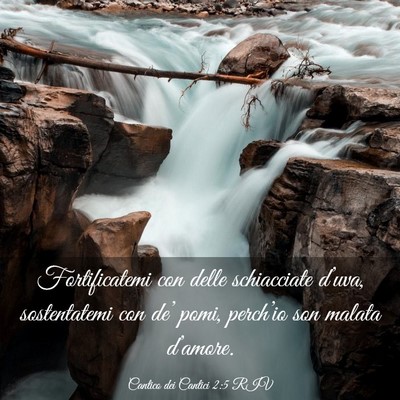 Picture 03 - Cantico dei Cantici 2:5 RIV - Fortificatemi con delle schiacciate d’uva, - Bible Verse Picture