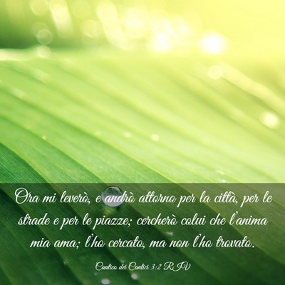 Picture 03 - Cantico dei Cantici 3:2 RIV - Ora mi leverò, e andrò attorno per la città, - Bible Verse Picture