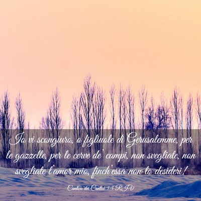 Picture 03 - Cantico dei Cantici 3:5 RIV - Io vi scongiuro, o figliuole di Gerusalemme, per - Bible Verse Picture