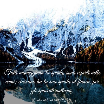 Picture 03 - Cantico dei Cantici 3:8 RIV - Tutti maneggiano la spada, sono esperti nelle - Bible Verse Picture