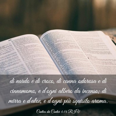 Picture 03 - Cantico dei Cantici 4:14 RIV - di nardo e di croco, di canna odorosa e di - Bible Verse Picture
