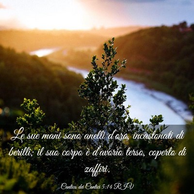 Picture 03 - Cantico dei Cantici 5:14 RIV - Le sue mani sono anelli d’oro, incastonati di - Bible Verse Picture