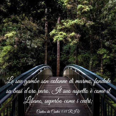 Picture 03 - Cantico dei Cantici 5:15 RIV - Le sue gambe son colonne di marmo, fondate su - Bible Verse Picture
